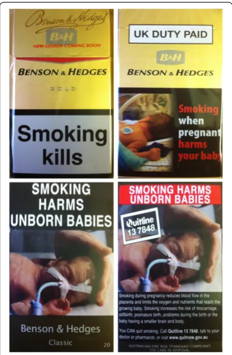 Table 1 UK branded cigarette packs and Australian plainpack equivalents used in the current study