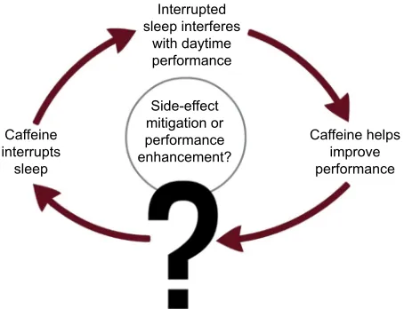 Figure 1 The cycle of benefits/disbenefits in caffeine consumption.