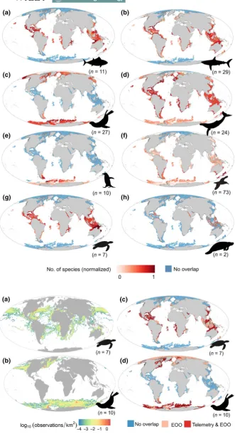 FIGURE 5 Global density distribution of animal telemetry observations by taxonomic group and their overlap with Argo coldspots