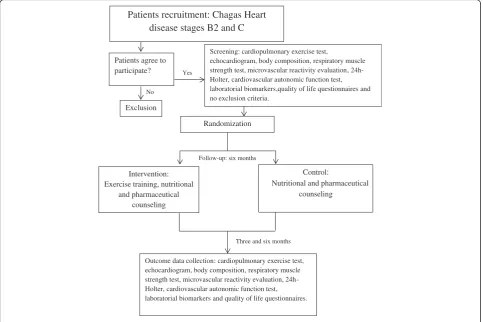 Fig. 1 Flow diagram of the PEACH study protocol