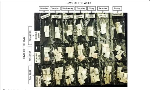 Fig. 2 Medication packages
