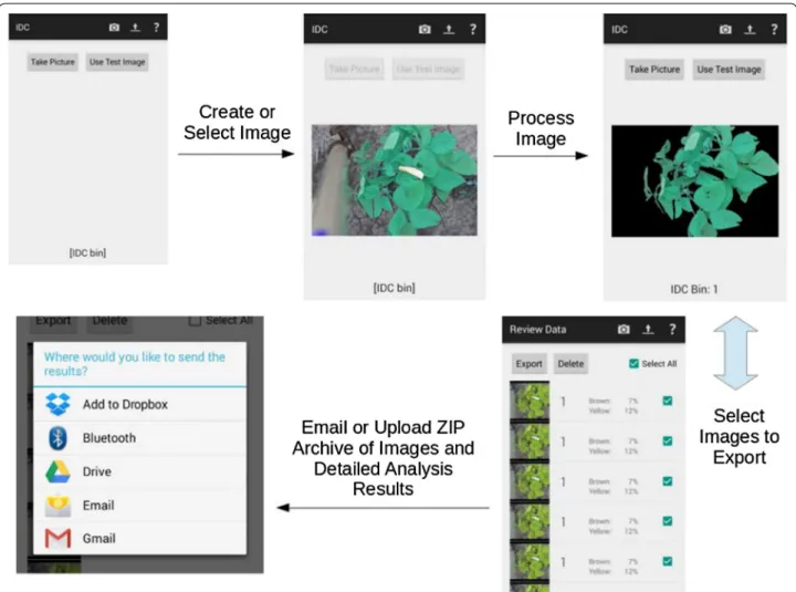 Fig. 6  Smartphone app flowchart demonstrating the integration of pre-processing, machine learning enabled classification and iron deficiency  chlorosis visual rating in real time