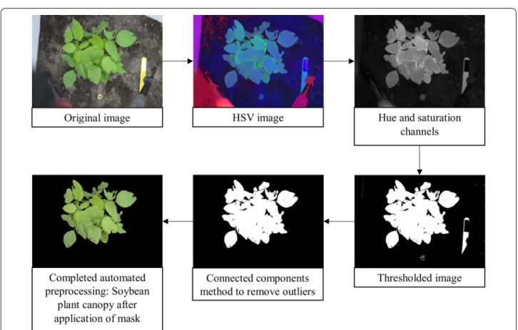 Fig. 1  Image preprocessing sequence from original image of canopy to completed automated pre-processed field soybean canopies