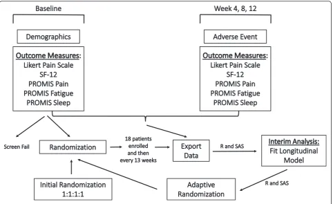 Fig. 2 Overall schematic of the trial’s conduction