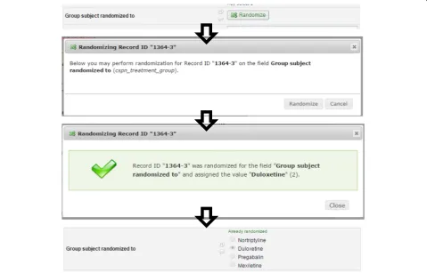 Fig. 3 Screen shots from the randomization procedure within REDCap