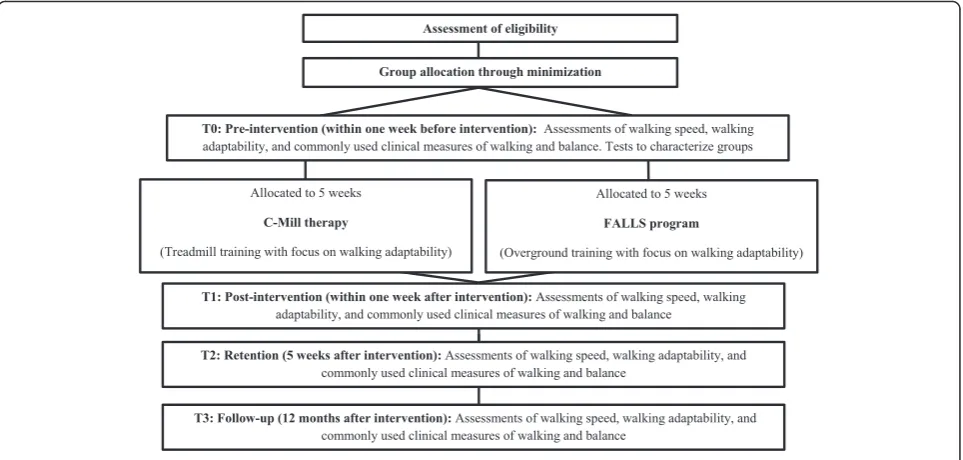 Fig. 2 Flow chart of the procedures that participants will undergo