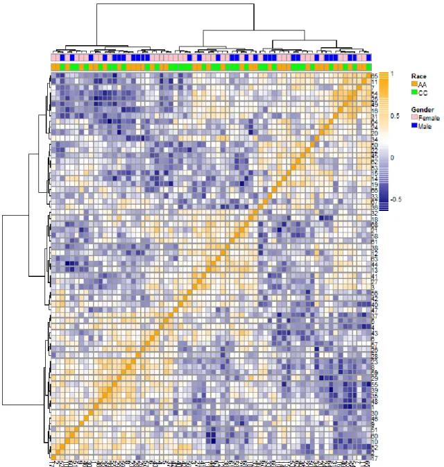 Figure 11. A heat map visualization of a correlation matrix. 