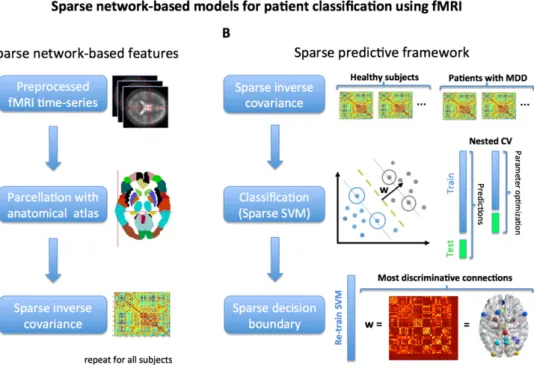 Fig. 1. Sparse network-based predictive models for patient classiﬁcation. Panel A: sparse network-based features