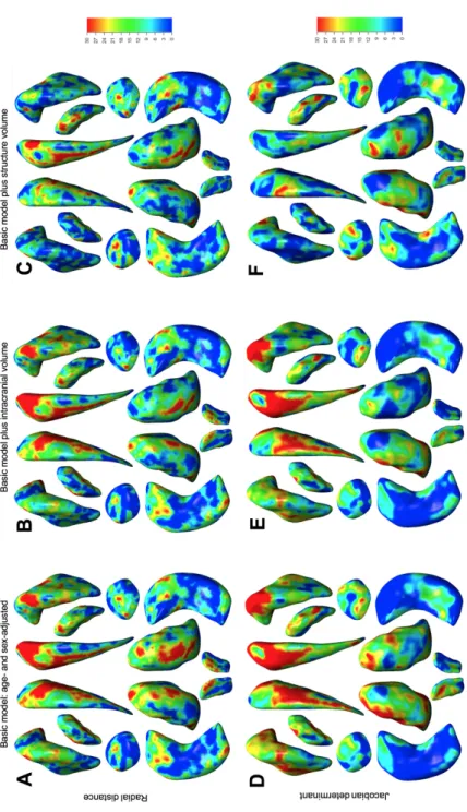 FIGURE 2: Heritability maps of shape measures of subcortical brain regions under various models