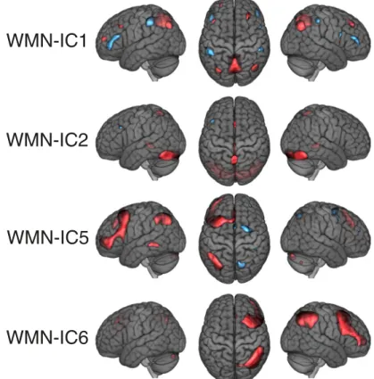 Figure 5. WMN ICA decomposition voxel loadings of the remaining WMN-ICs. The threshold of |z| ⬎ 1.47 used for illustration displays the most extreme 10% of the voxel loadings across all WMN-ICs; red depicts positive and blue negative voxel loadings