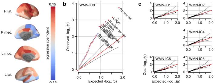 Fig. 10E) and were also associated with D-prime 0-back performance in our sample (D-prime 0-back: p FDR ⫽ 1.6 ⫻ 10 ⫺8 , R 2 ⫽ 0.04; D-prime 2-back: p FDR ⫽ 0.45, R 2 ⬍ 0.001).