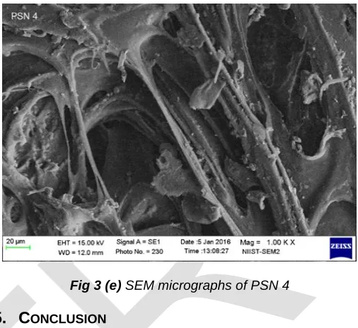 Fig 3 (e)  SEM micrographs of PSN 4  