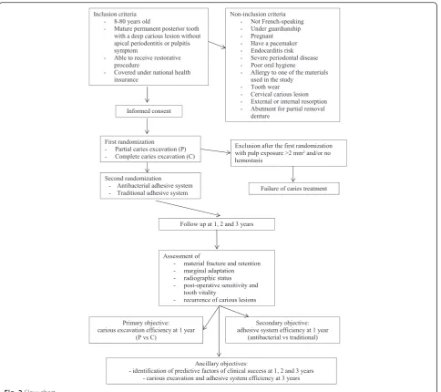 Fig. 2 Flow chart