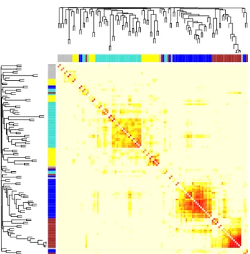 Figure 3.1: TOM plot of the whole brain functional network and its modules for normal subjects