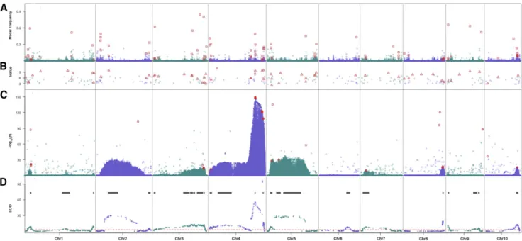 Figure 2 Stacked plots of GWAS and QTL results. From upper to lower panels are results from the Bayesian-based multi-variant (A) stepwise regression (B) and single variant(C) models for GWAS and the joint QTL mapping result (D)