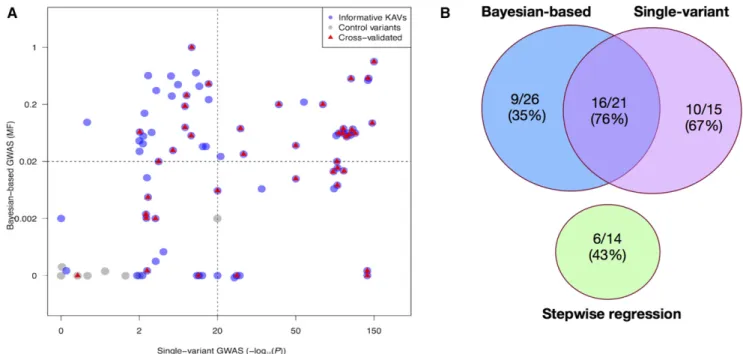 Figure 3 Genetic validation results of selected kernel row number associated variants (KAVs)