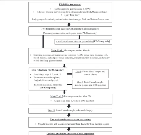 Fig. 1 A flow diagram of the study timeline. SPPB, Short Physical Performance Battery; BMI, bodymass index; PT-Group, pre-training group;ES-Group, exercise snacking group