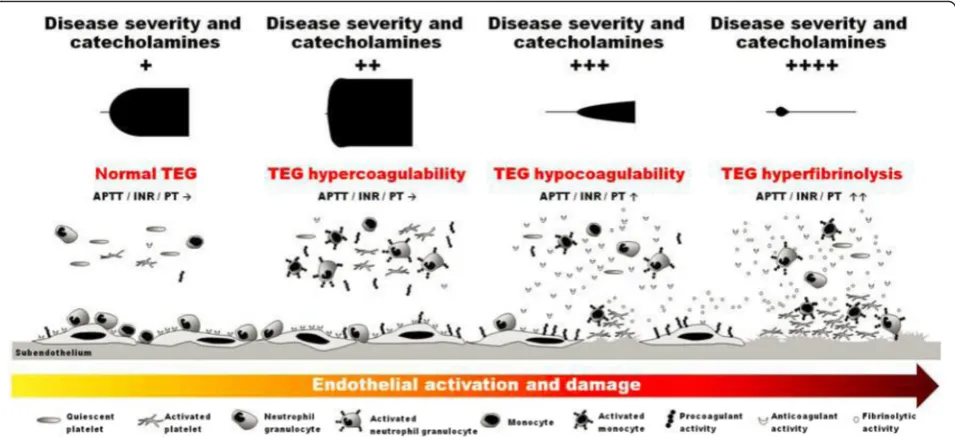 Fig. 1 A systems biology perspective on vascular homeostasis in critical illness. Schematic illustration of the changes in the vascular system(circulating blood, vascular endothelium) with increasing disease (ischemia-reperfusion, trauma, sepsis, etc.) sev