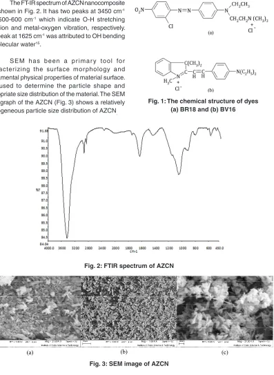 Fig. 3: SEM image of AZCN