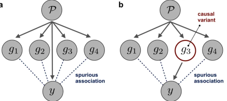 Figure 1.3: Two causal networks of confounding. Population structure ( P) affects genome-wide genotypes, creating long-range LD between variants