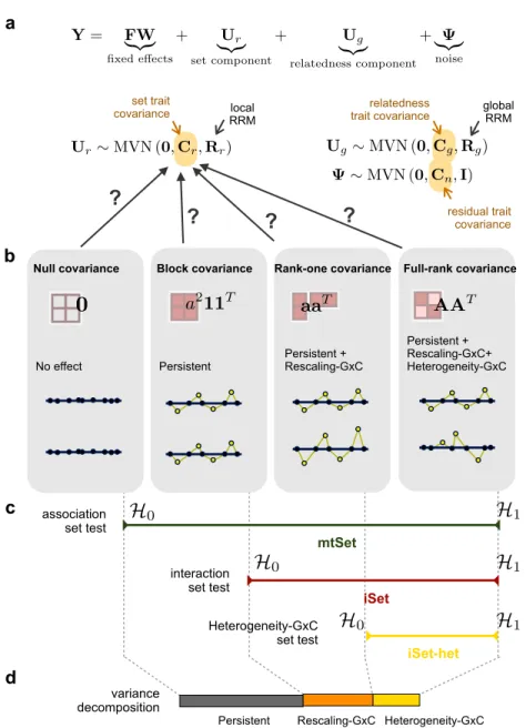 Figure 4.2: Illustration of the iSet model. (a) shows the multivariate mixed-model underlying iSet