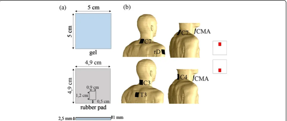 Table 1 Isotropic electrical conductivities of tissues in the human trunk model