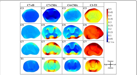 Fig. 4 Axial SC slices in selected cervical and T1 segments near maximum E-field peaks