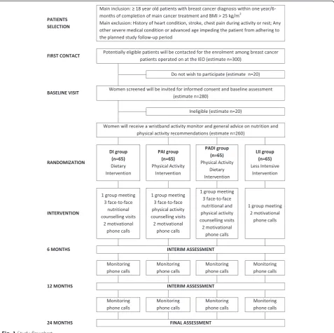 Fig. 1 Study flowchart