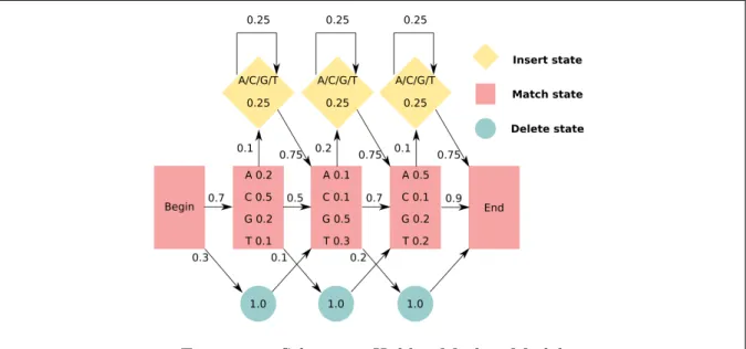 Figure 1.3: Schematic Hidden Markov Model