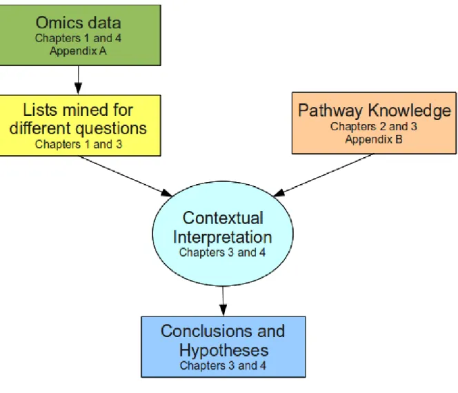 Figure 1.1 Research processes and the chapters which discuss them.
