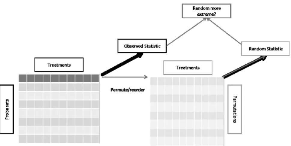 Figure 2.1 Each abundance profile is reordered (permuted) a large num- num-ber of times and then each permutation is used to calculate a random statistic which is then compared to the observed  statis-tic