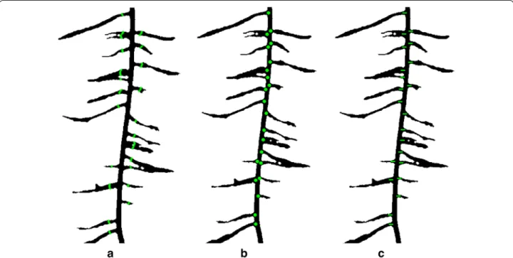 Fig. 4  Lateral root branch count measured using three different methods a lateral root branch count (LRB), b count of nodes of lateral roots (NLR),  and c independent lateral root branch count (IRB)