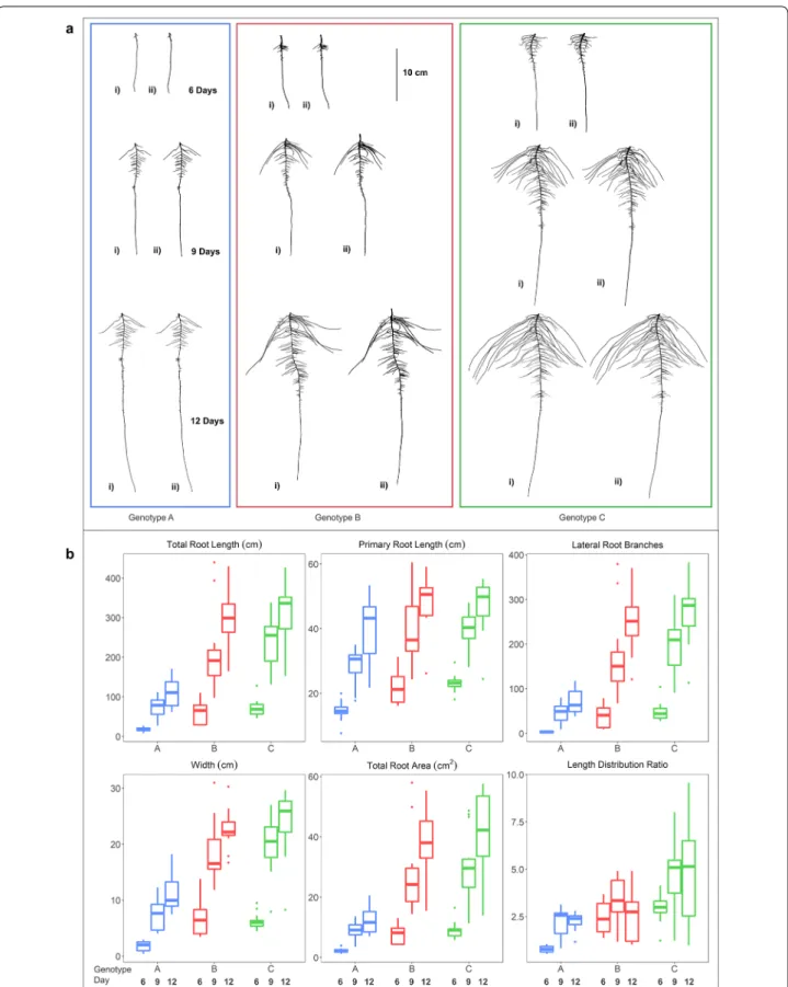 Fig. 6  a Heuristic (i) and CAE (ii) based segmented root images of genotype A (blue), B (red) and C (green) at 6 (top), 9 (center) and 12 (bottom)  days after germination