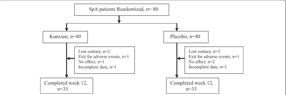 Fig. 1 Patient disposition. A total of 80 patients with AS were enrolled, among whom contact was lost in 7 patients (2 patients in Kunxian groupand 5 in placebo group), 2 patients exited for adverse events (one in Kunxian group and one in placebo group), a