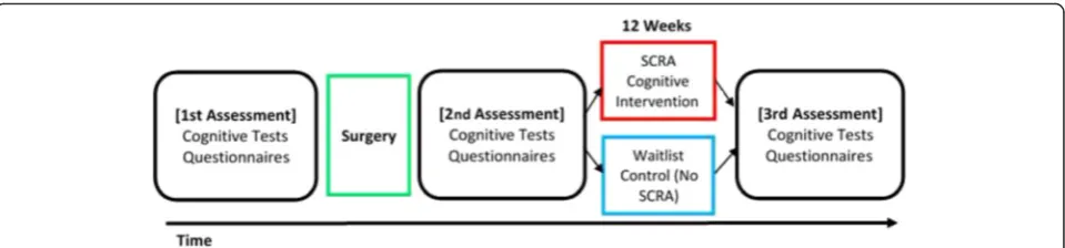 Fig. 2 The timeline of the study indicates when the questionnaire and cognitive function tests will be administered