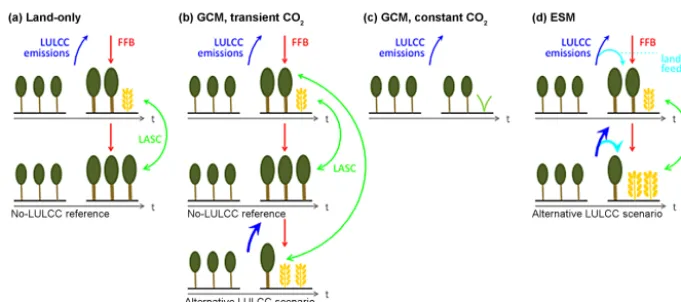 Figure 7. Illustration of the different setups used in the LUMIP experiments, using the example of forest replacement by cropland orgrassland