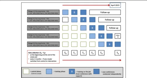Figure 1 Description of the stepped-wedge design of the dementia-specific case conferences in German nursing homes (FallDem) study.