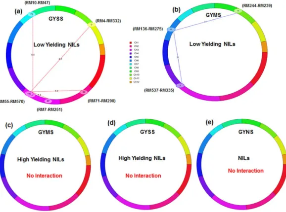 Figure 3.  Cyclic illustrations of epistatic QTLs of Savitri NILs for grain yield under various levels of drought  stress (a) GYSS: chromosome 2 (RM71-RM290,50 cM) and chromosome 3 (RM7-RM251 67 cM, RM319-RM55  167 cM and RM55-RM570,182 cM) have shown epis