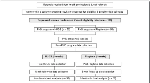 Figure 1 Study flow diagram. HUGS, Happiness Understanding Giving and Sharing; PND, postnatal depression.