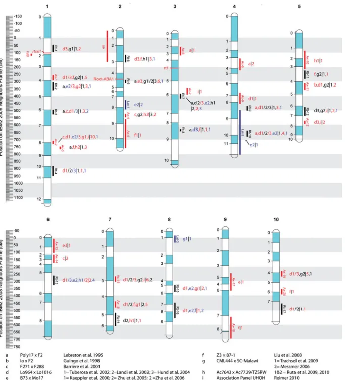 Fig. 3 Reference map of the meta-analysis. The scale indicates the position on the Neighbors 2008 reference map in cM.