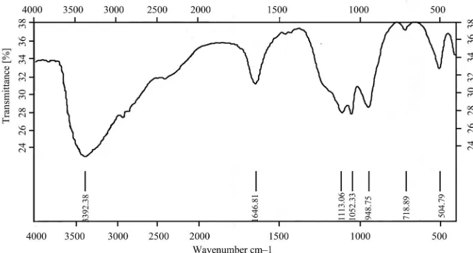 Figure 3. Infrared absorption spectroscopy of the phytic acid and magnesium formed compound