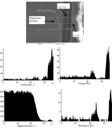 Figure 4. Distribution of X-ray intensity of each element detected by electron microprobe analysis (EMA) in the magnesium substrate and the conversion coating formed in solution containing 0.5wt.%phytic acid at 25℃ under pH = 3  