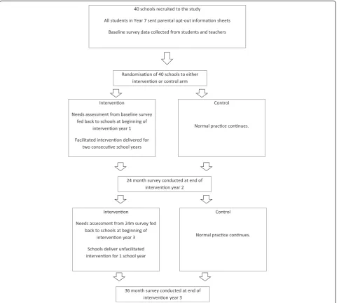 Figure 1 Flow chart showing intervention and control treatment.