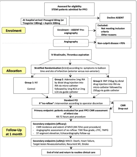 Figure 1 Study recruitment diagram.