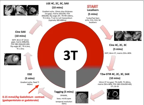 Figure 2 CMRI protocol.