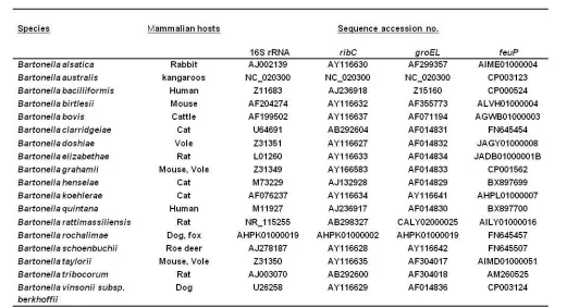 Table 1.  Bacterial strains and sequences used in this study. 