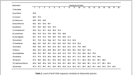 Table 2. Level of feuP DNA sequence similarity for Bartonella species. 