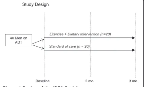 Figure 1 Design of the IDEA-P trial.