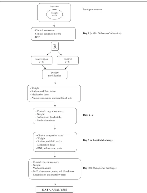 Figure 1 CONSORT flowchart of the study. BNP, B-type natriuretic peptide; R, randomization; std., standard.