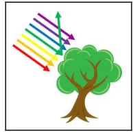 Figure 2.  Scientific worldview on the process of seeing and perception of colors  